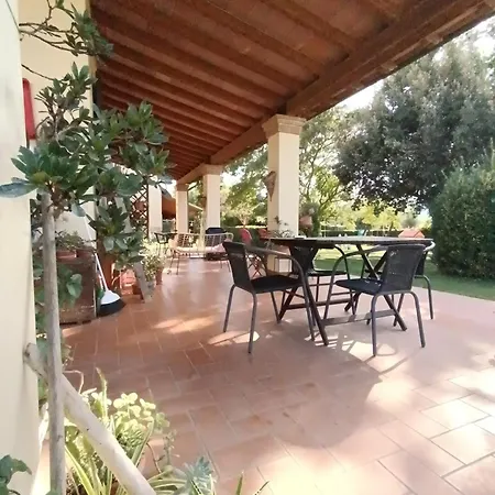 Le Di Cate
